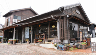 【晴光 梅原淳】